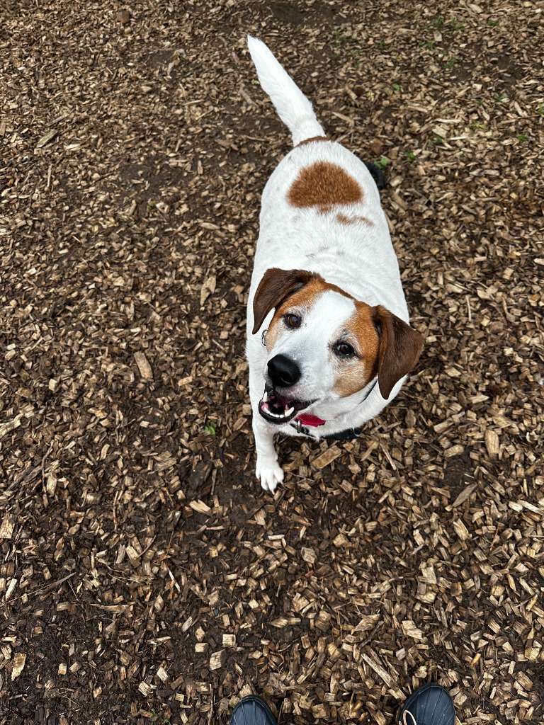 Max