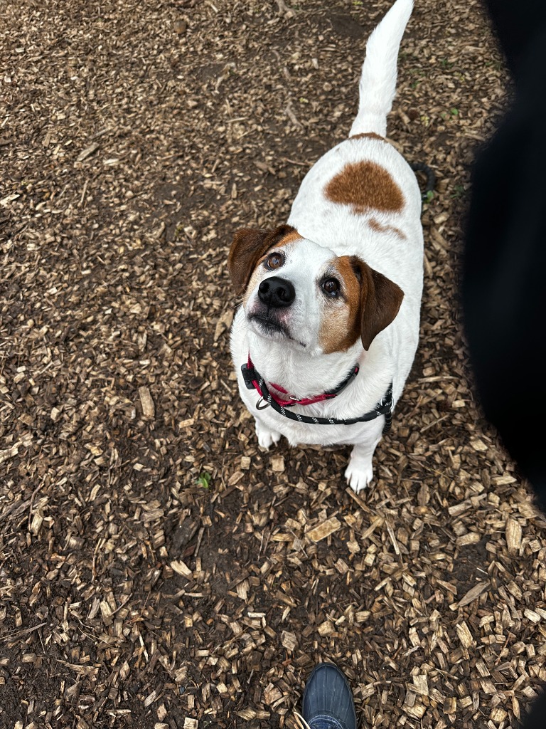 Max