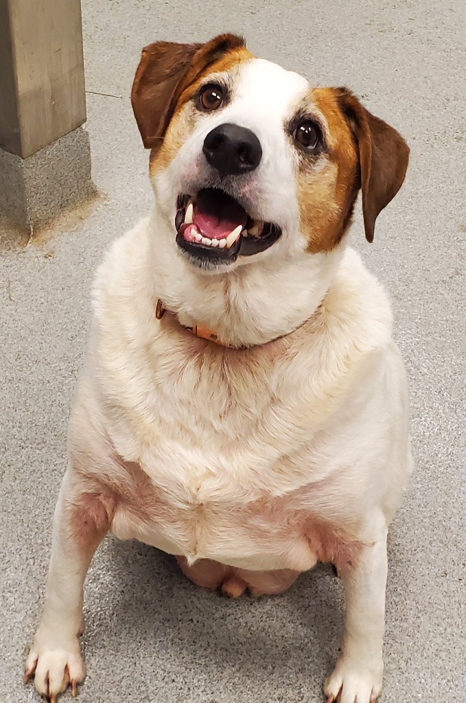 Max