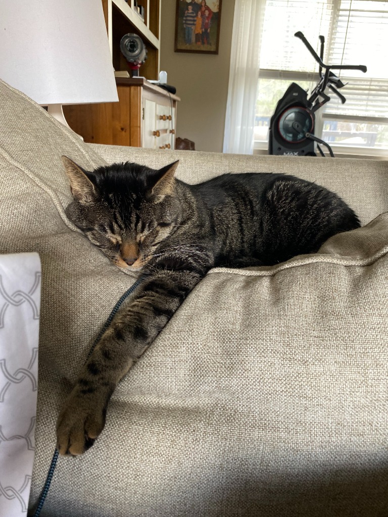 Hector