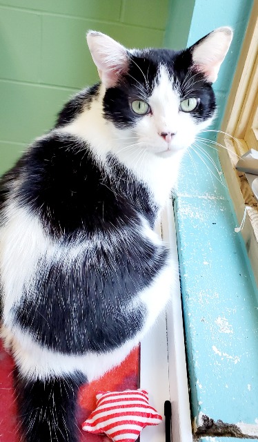 Gus