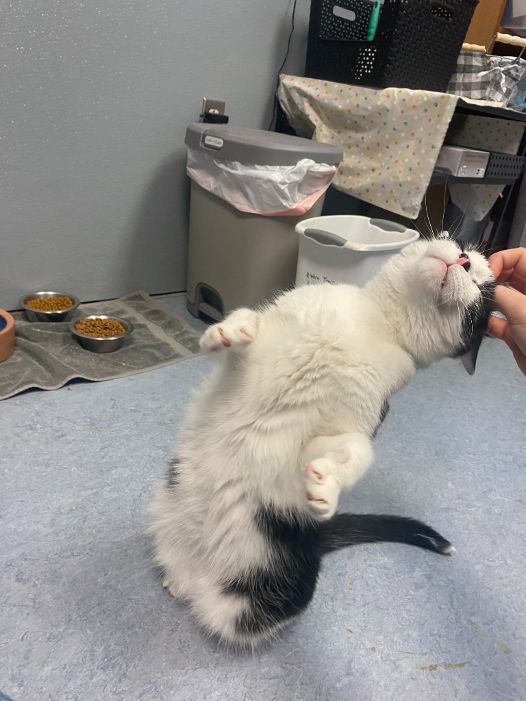 Gus