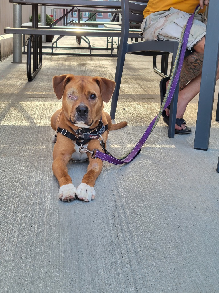 Jasper
