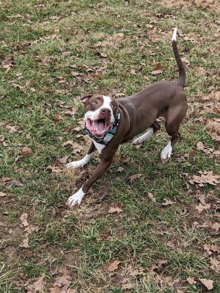 Freya