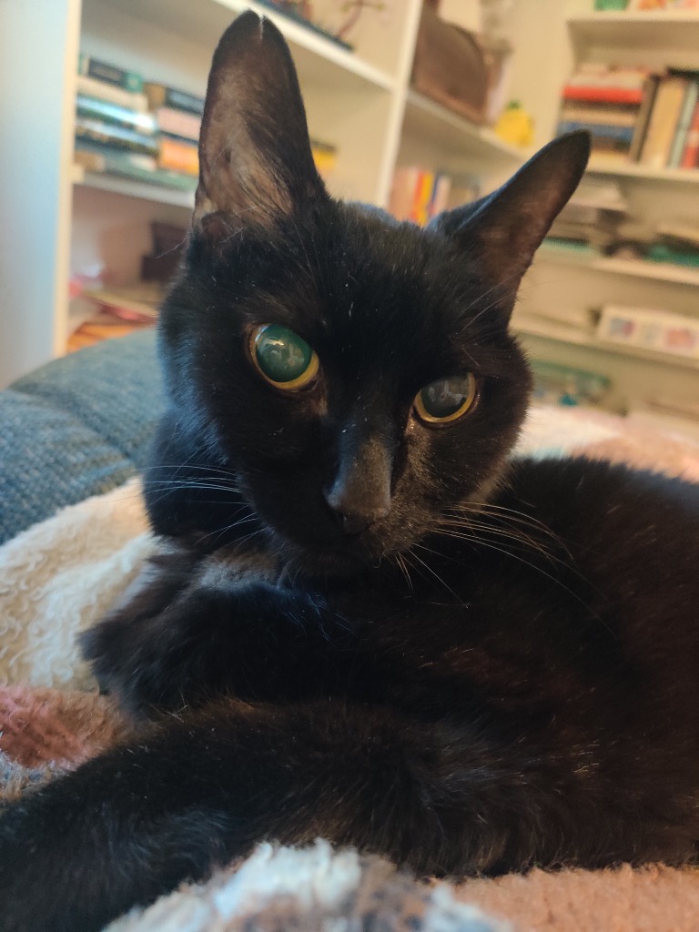 Walter
