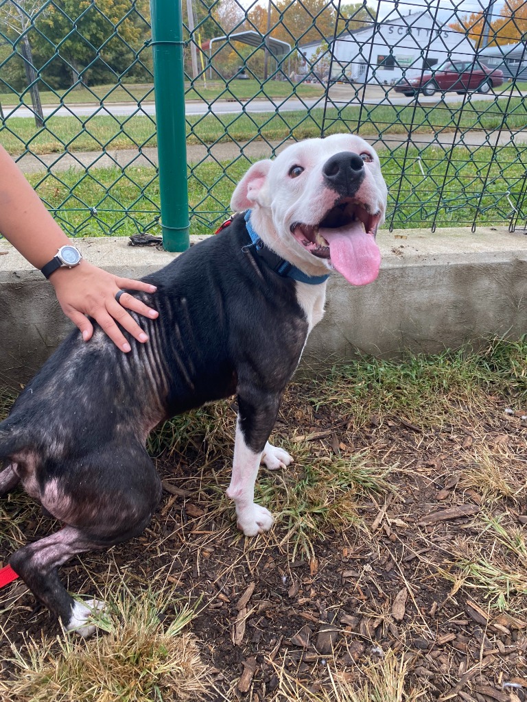 Xavier City of Bloomington, Indiana