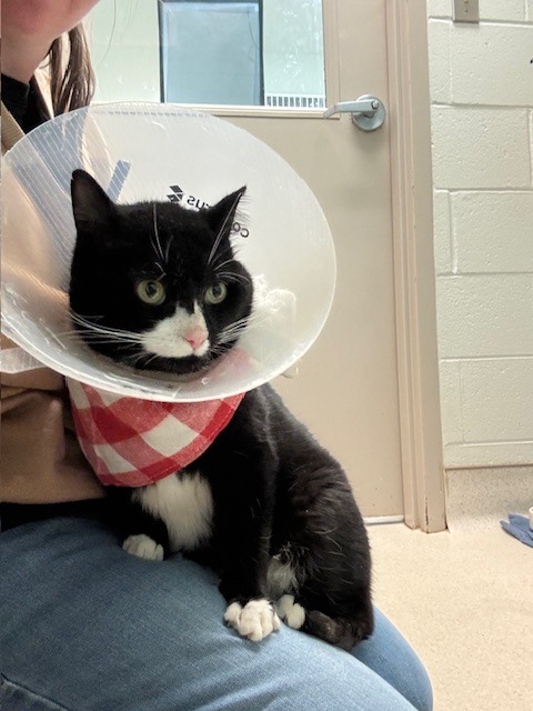 Chuck City of Bloomington, Indiana