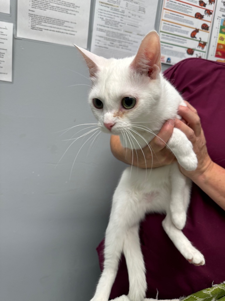 Kilo City of Bloomington, Indiana