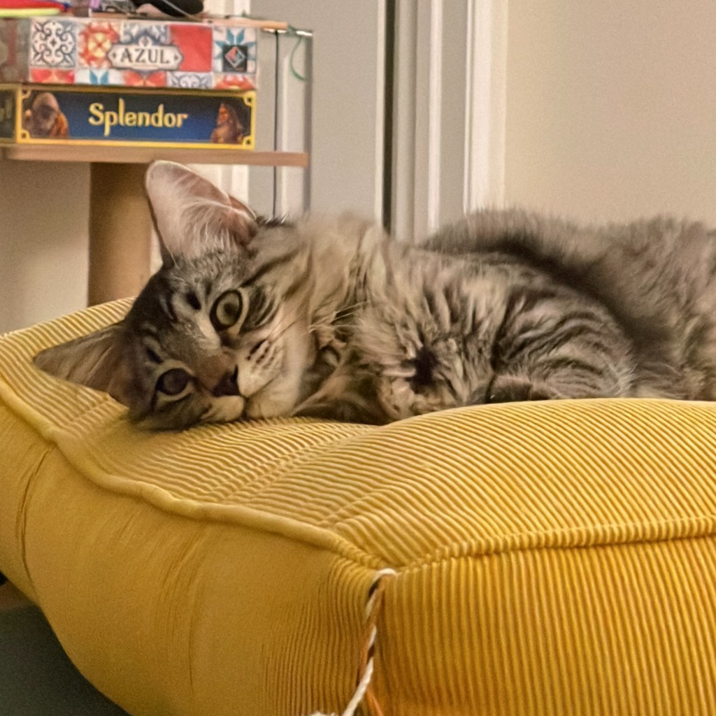 Lincoln