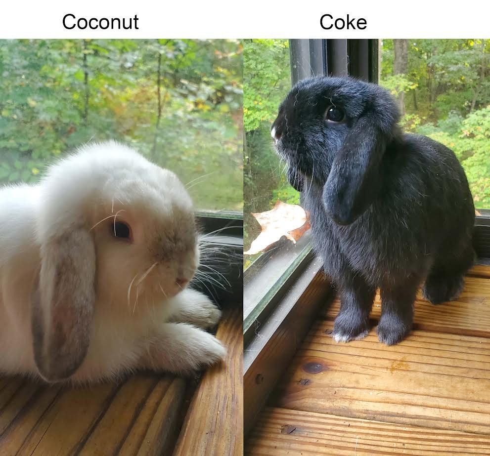 Coconut & Coke