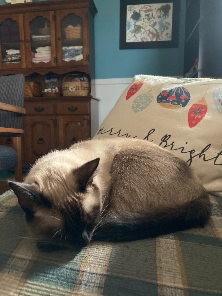 Sophie