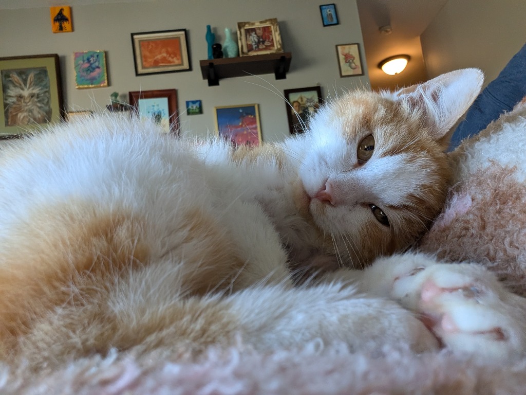 Little King Monster Mouth