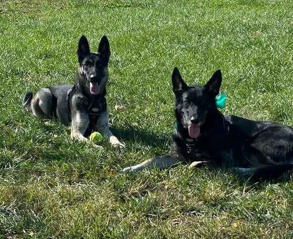 Leia & Stella
