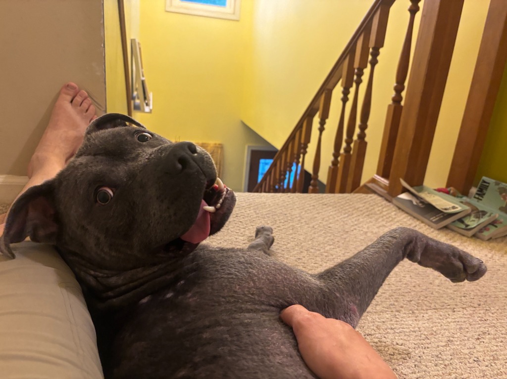 Luca