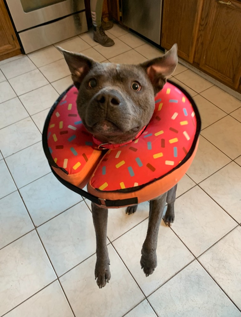Luca