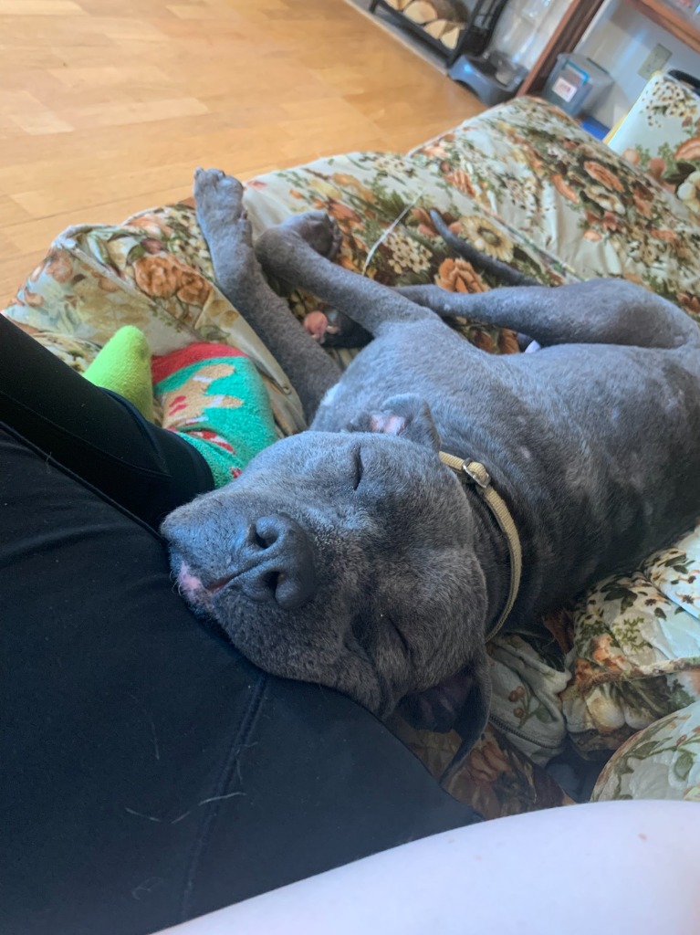 Luca