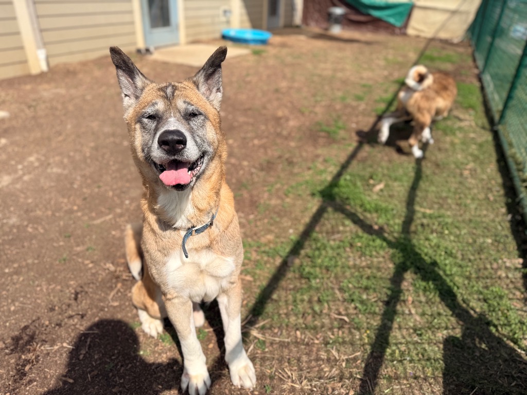 Odin