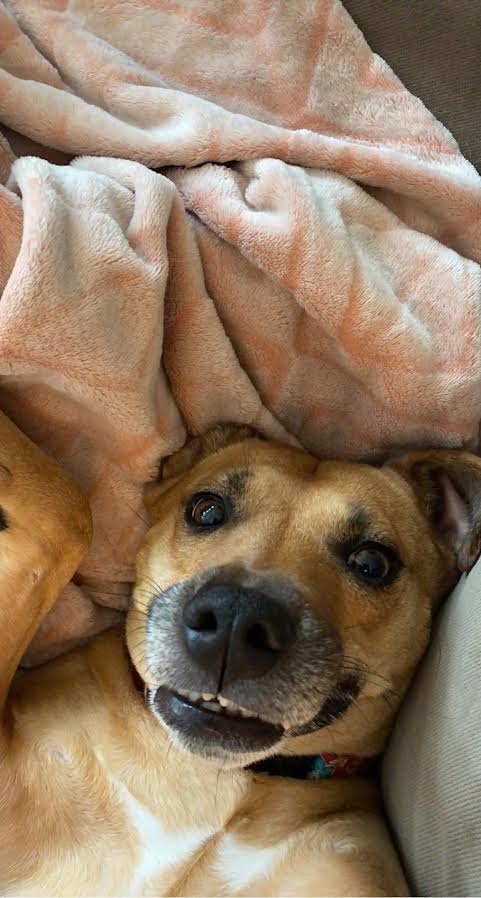 Zoe