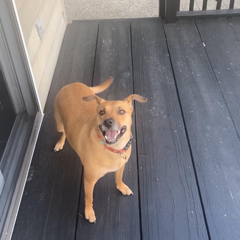 Zoe