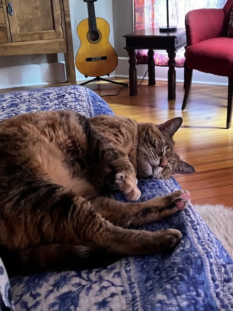 Kiki
