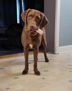 Toby AKA Toblerone, Tobes Malone