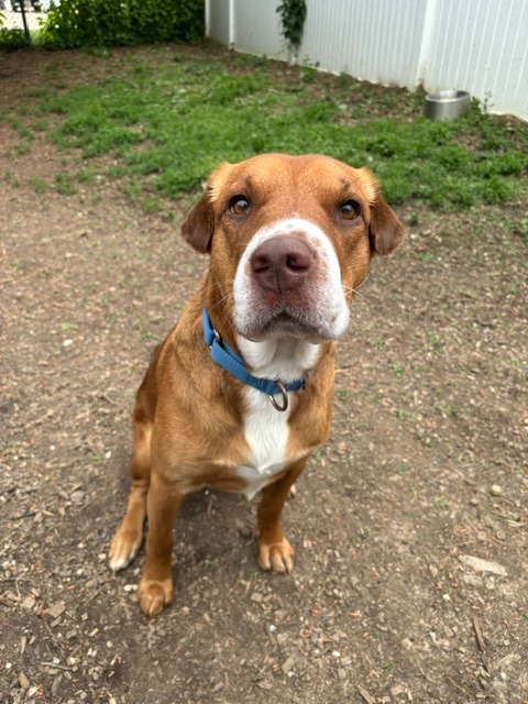 Roscoe