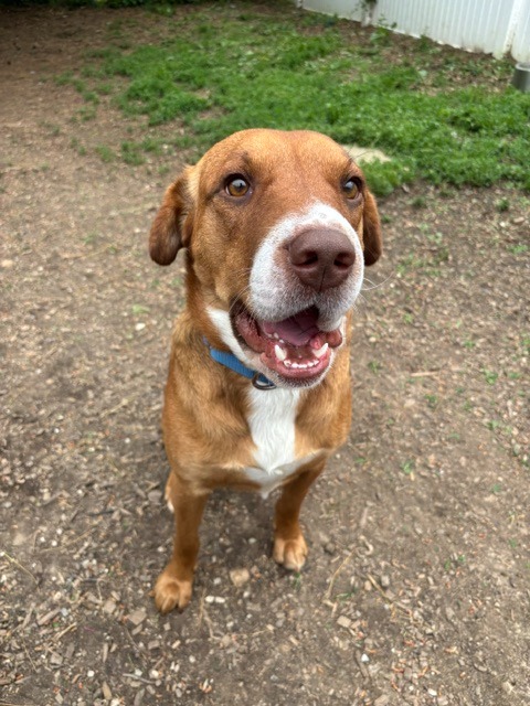 Roscoe