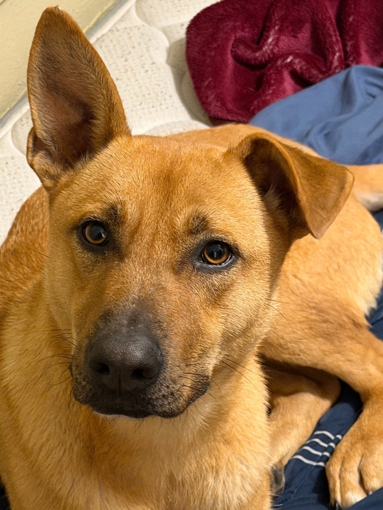 Zoe