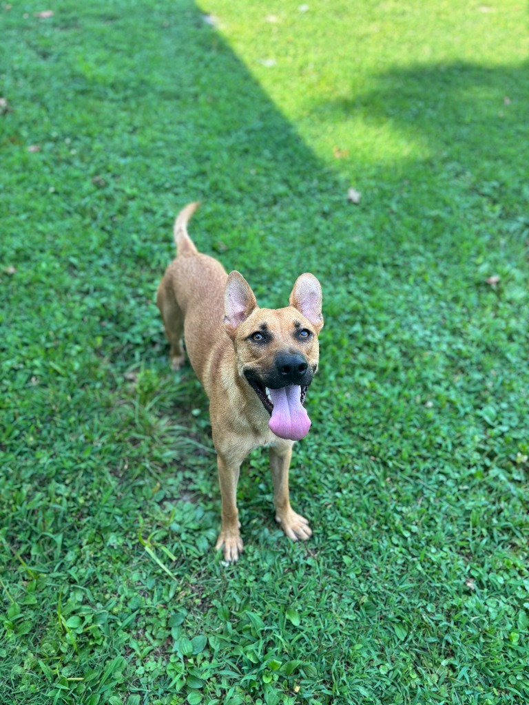 Zoe