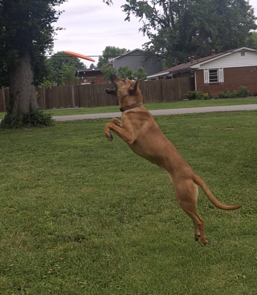 Zoe
