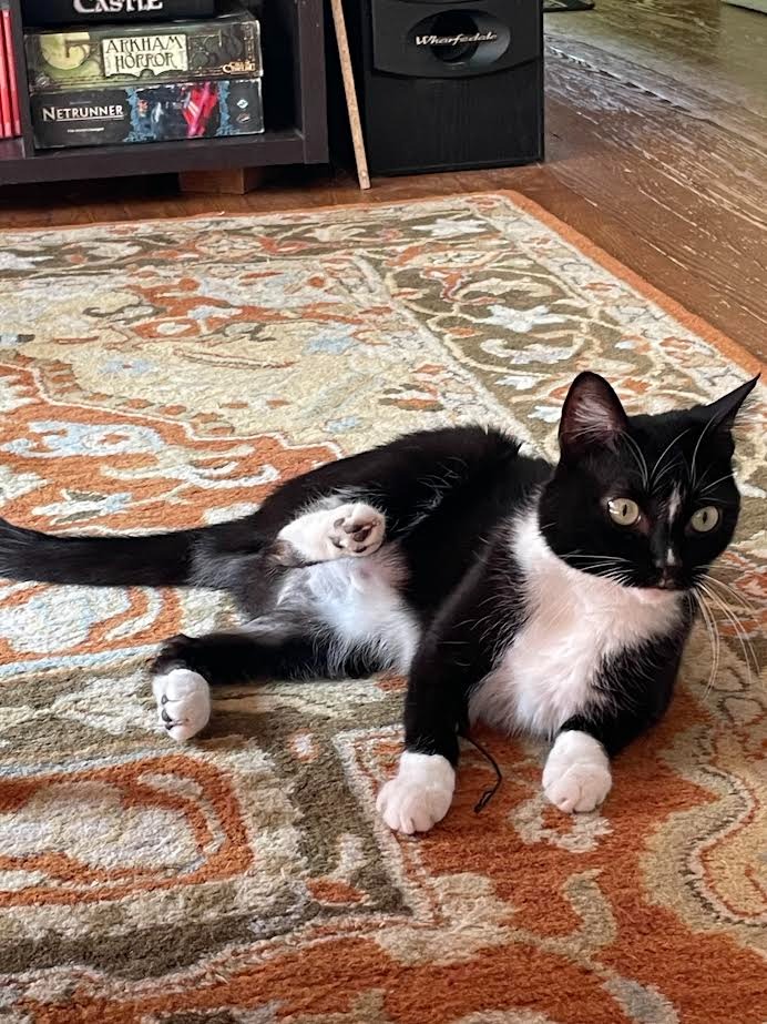 Wilbur