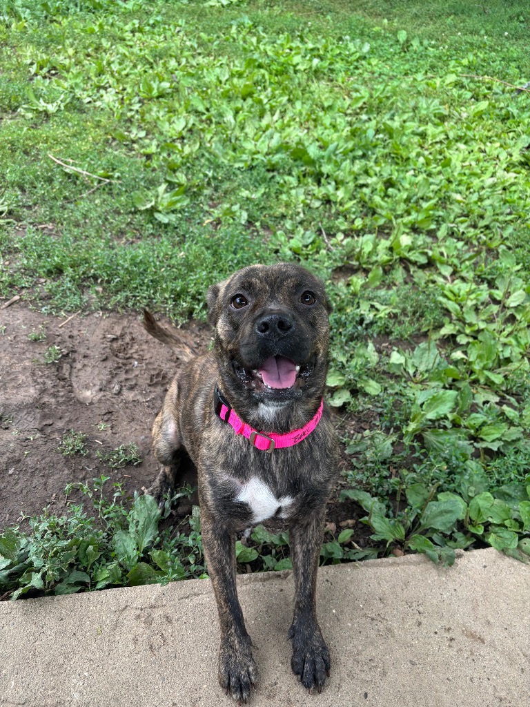 Missy
