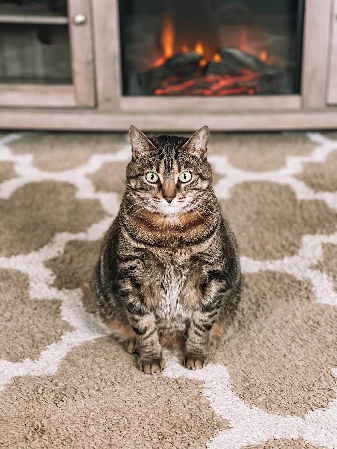Lulu