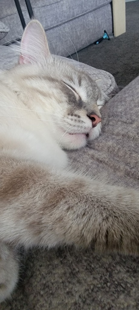 Milo