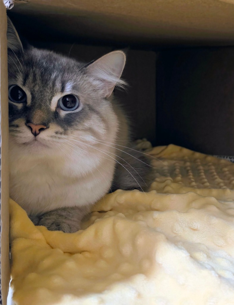 Milo