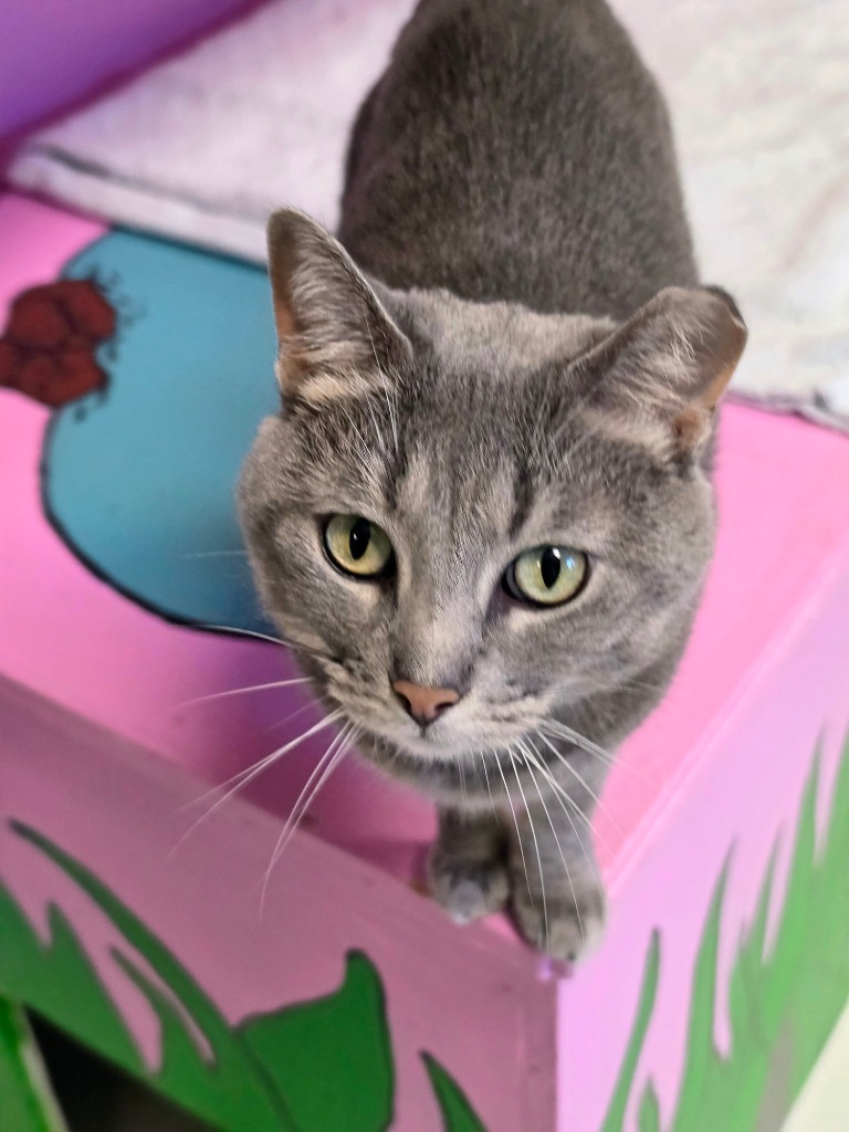 Rosie