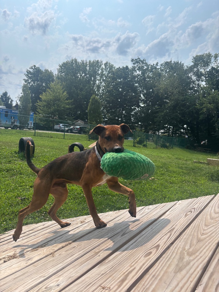 Jax