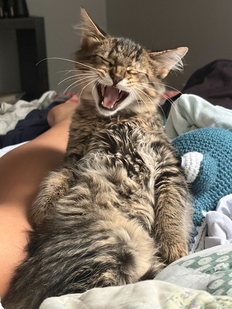 Steve