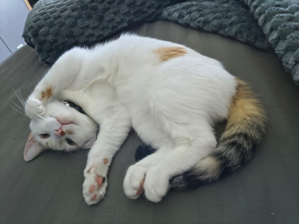 Luna