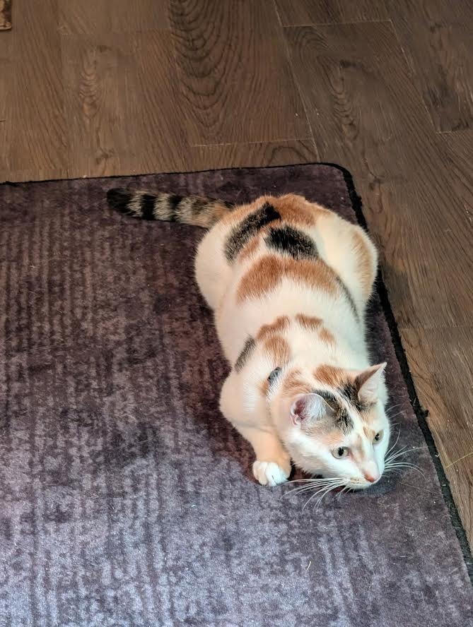 Luna