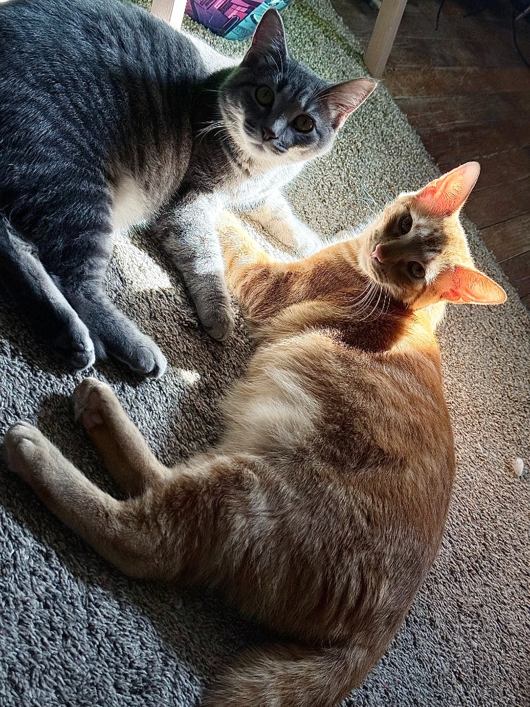 Atlas & Sage