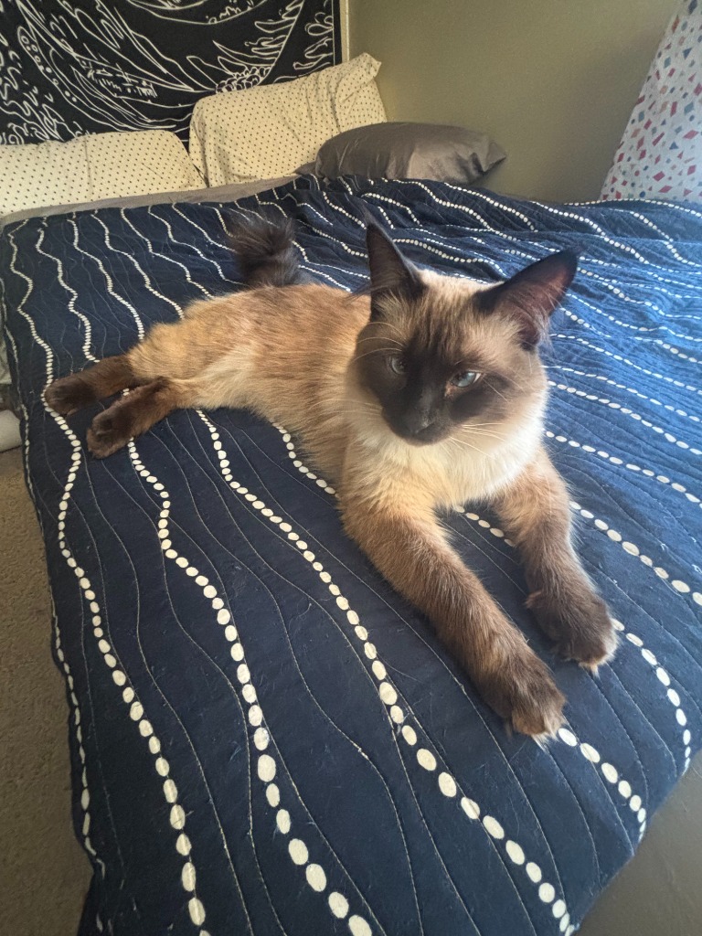 Gizmo