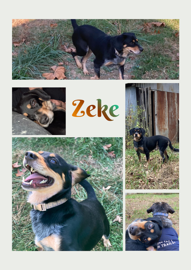 Zeke
