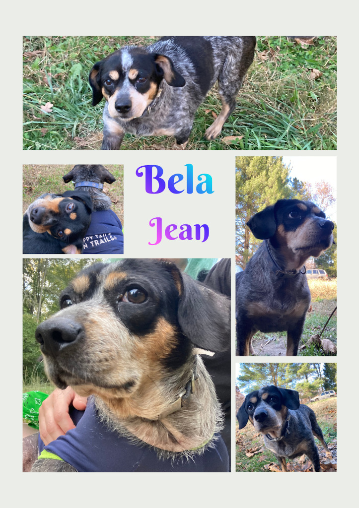 Bela Jean