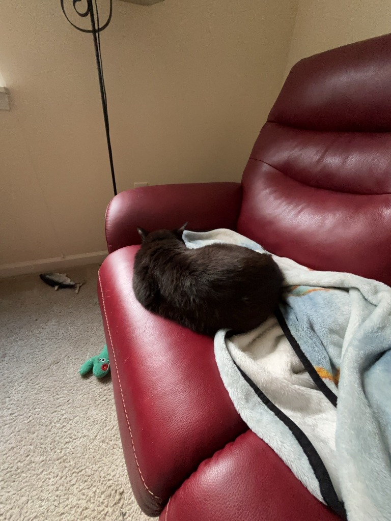 Sam