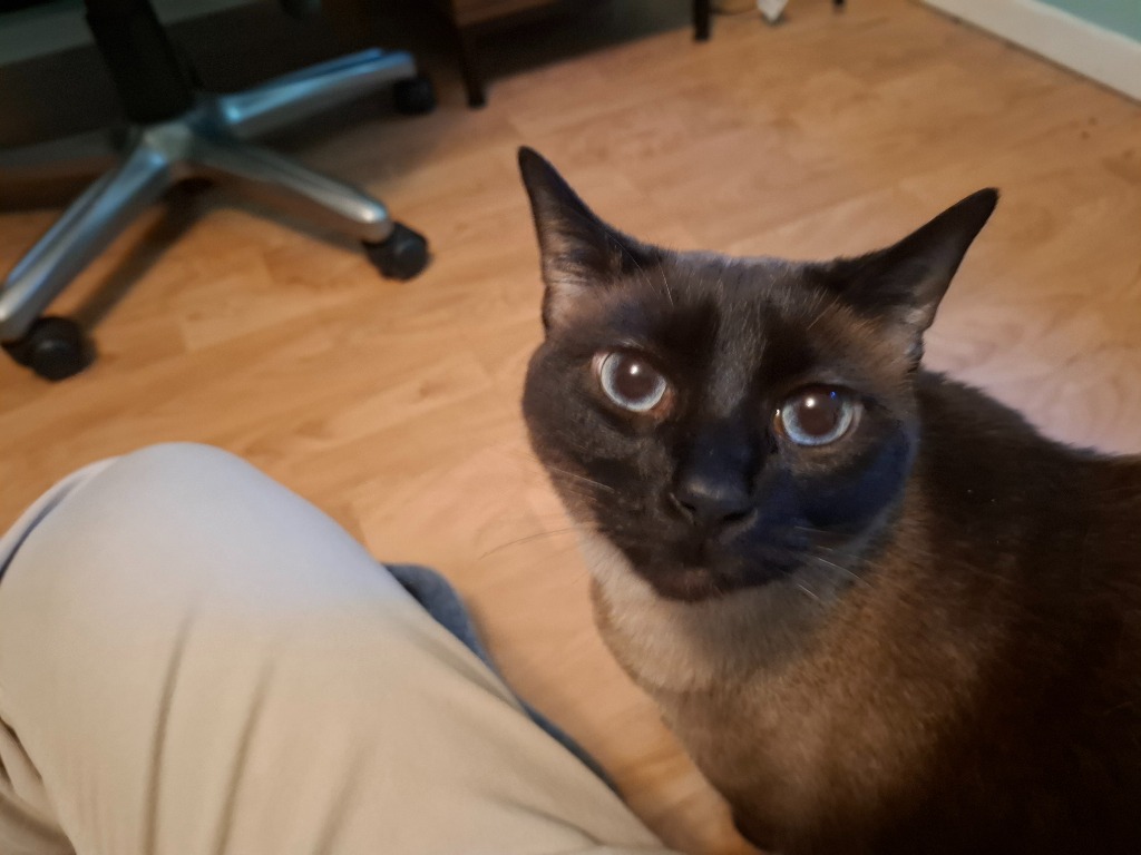 Sam