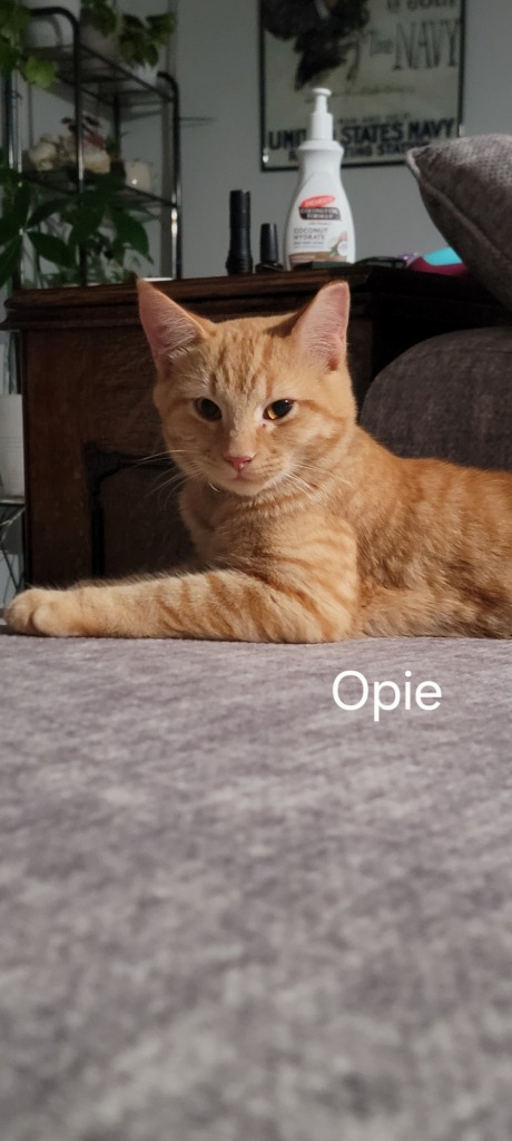 Opie