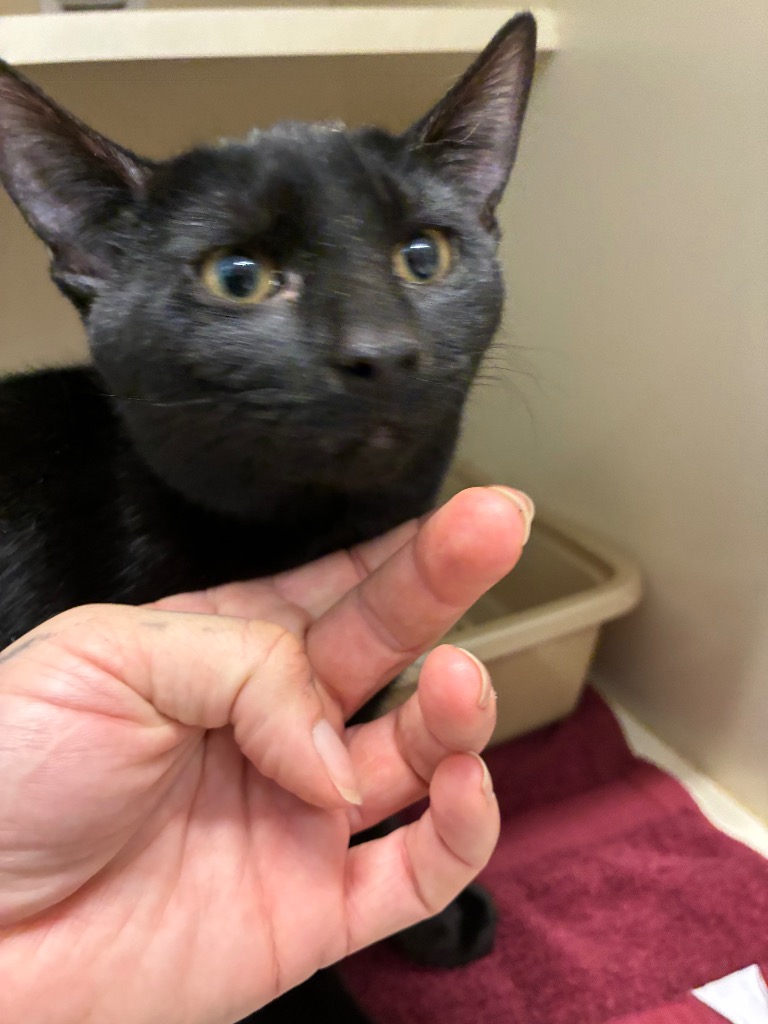 Salem