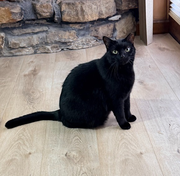 Onyx