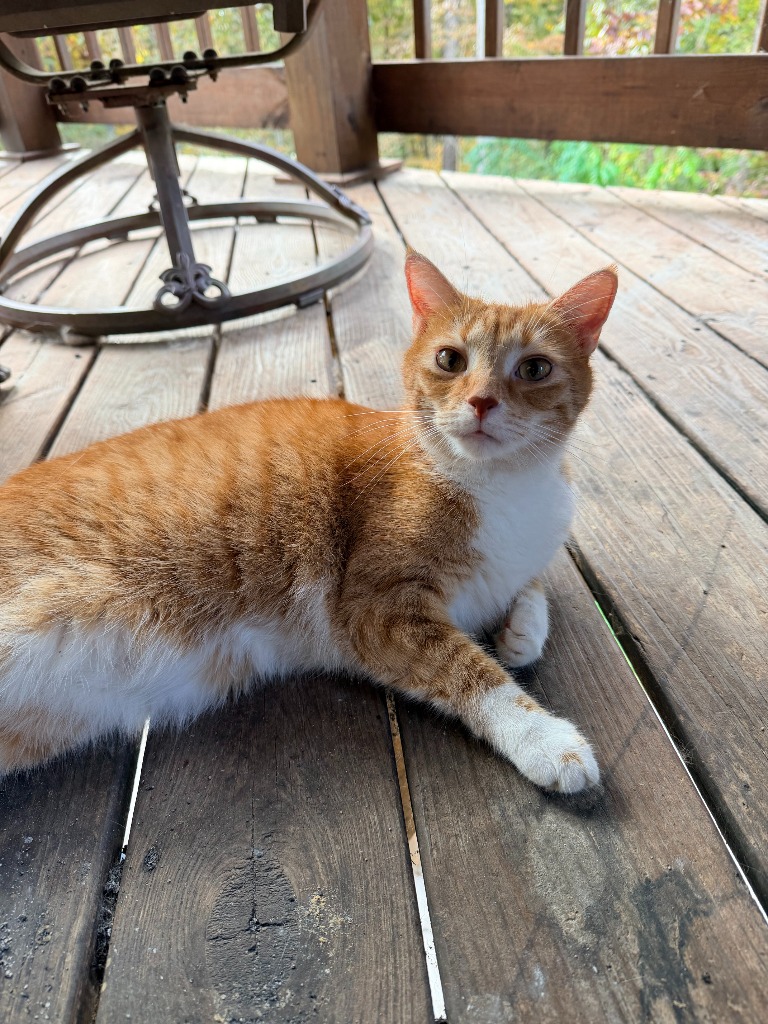 Cletus
